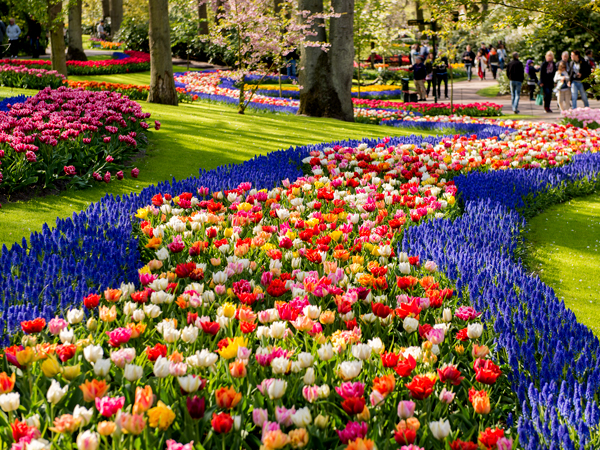 西欧五国经典（含郁金香公园）- 法兰克福 科隆出发 第 2 天